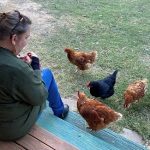 middle aged woman with chickens